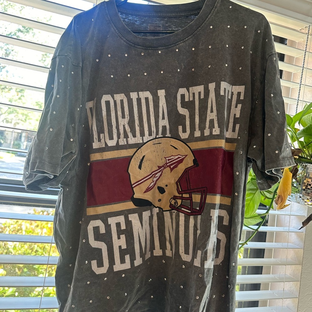 Florida State Seminoles Gray T-Shirt